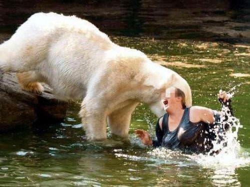 Hayvanların insanlara saldırdığı anlar 14