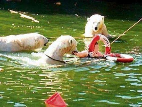 Hayvanların insanlara saldırdığı anlar 40