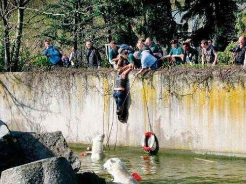 Hayvanların insanlara saldırdığı anlar 17