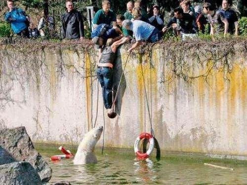 Hayvanların insanlara saldırdığı anlar 43