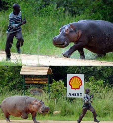 Hayvanların insanlara saldırdığı anlar 21