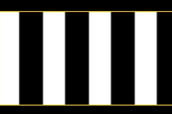 Ünlülerden şampiyon Beşiktaş paylaşımları 2