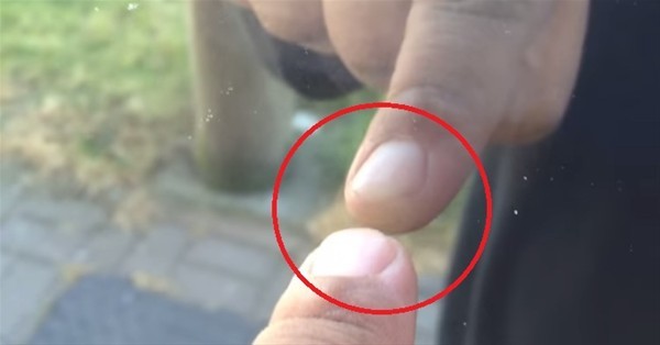 Bunları biliyor musunuz? 14