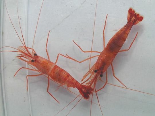 Bunları biliyor musunuz? 46