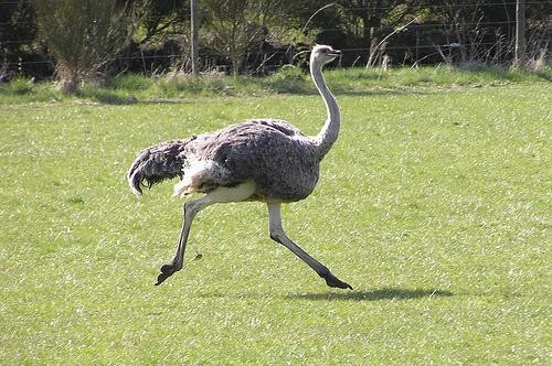 Bunları biliyor musunuz? 47