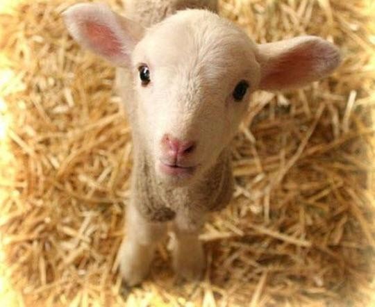 Bunları biliyor musunuz? 49