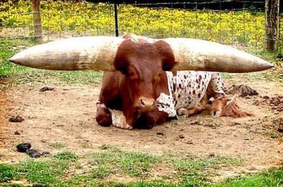 Bunları biliyor musunuz? 50