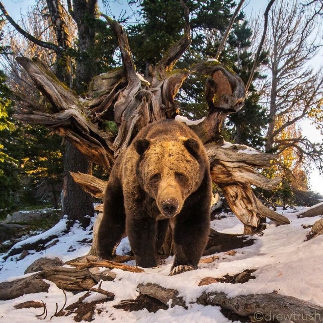 National Geographic'den harika paylaşımlar 1