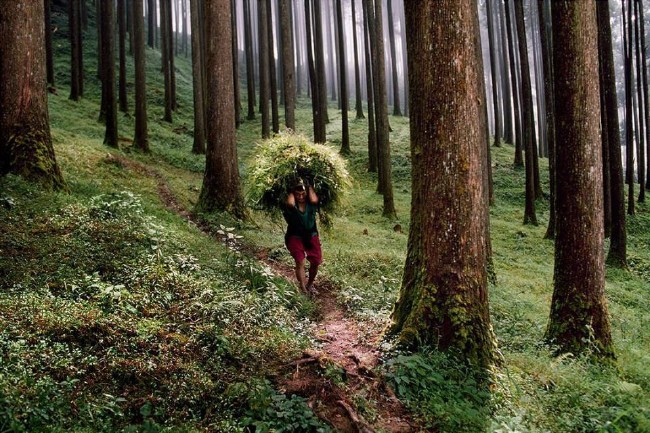 National Geographic'den harika paylaşımlar 23