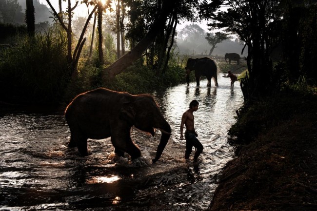 National Geographic'den harika paylaşımlar 29