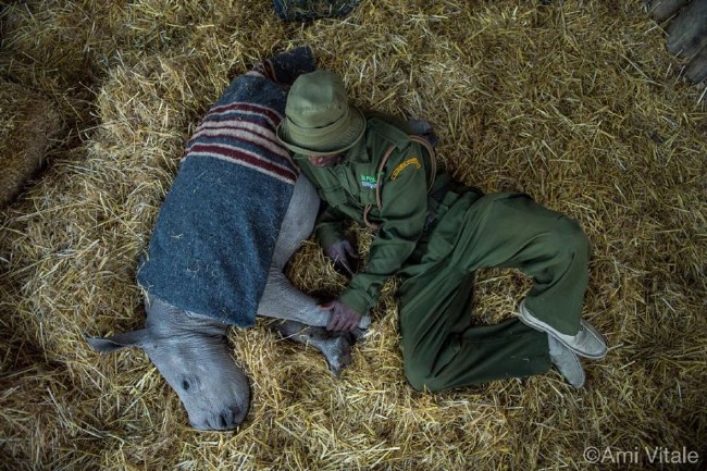 National Geographic'den harika paylaşımlar 5