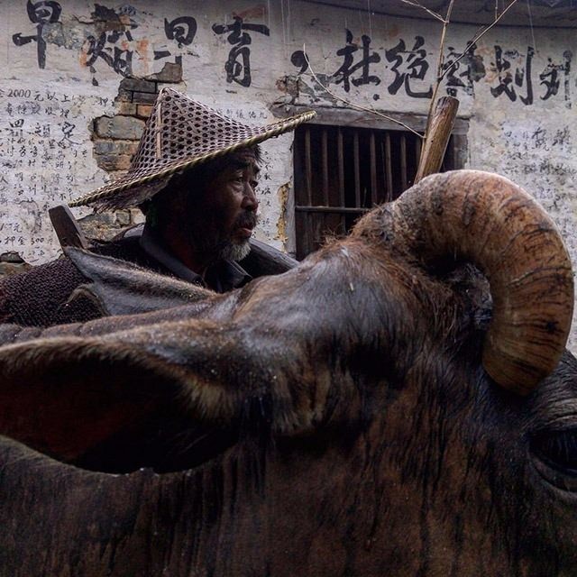 National Geographic'den harika paylaşımlar 8