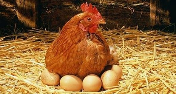 Bu yiyecekleri sofranızdan uzak tutunuz 8