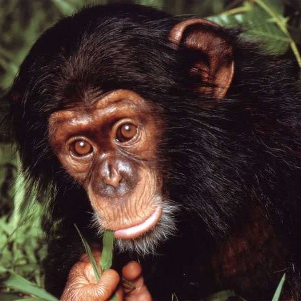 Meşhur deyimlerin ilginç hikayeleri 31