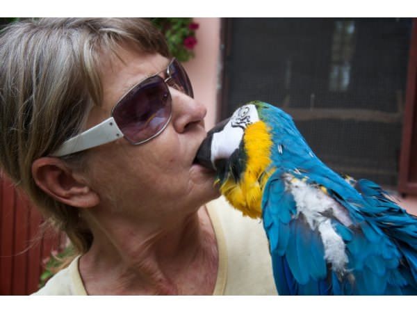 Meşhur deyimlerin ilginç hikayeleri 8