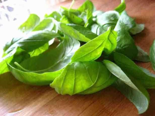 Buzdolabına koyulmaması gereken yiyecekler 11