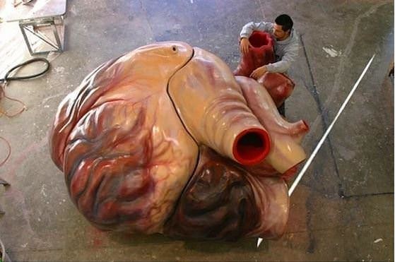 Daha önce duymadığınız bilgiler 11