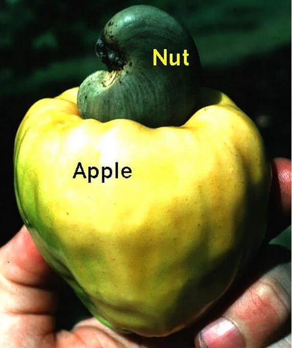 Daha önce duymadığınız bilgiler 12