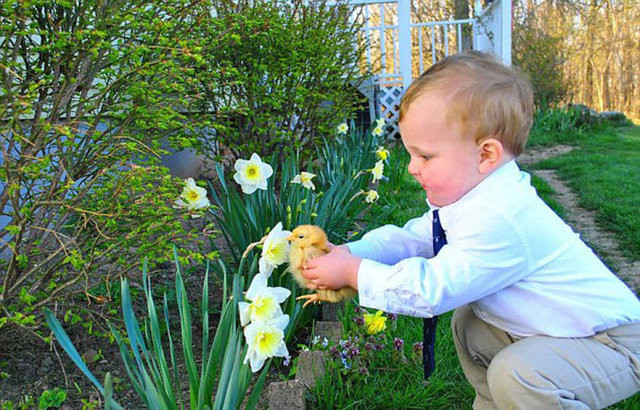 Hayvanların gülümseten bahar fotoğrafları 9