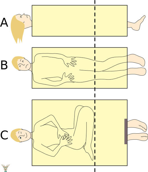 İşte bu gösterinin sırrı 4
