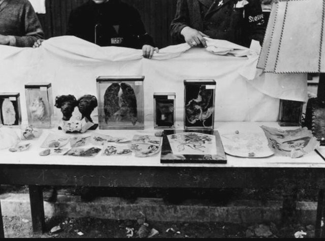 Korkunç Nazi deneyleri 43