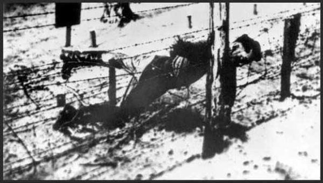 Korkunç Nazi deneyleri 4