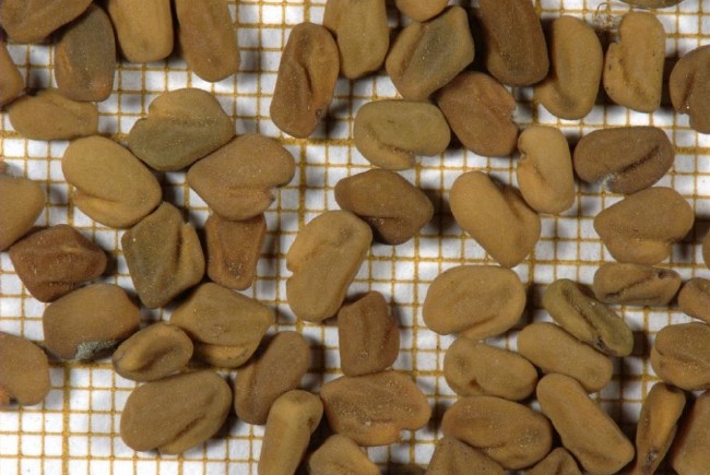 10 maddelik beyaza veda reçetesi 4