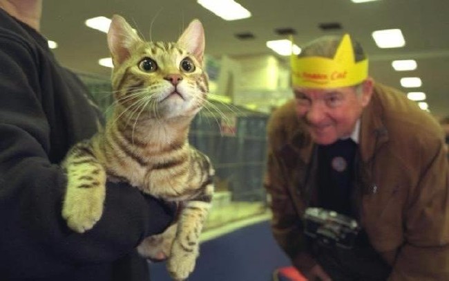 Dünyanın en pahalı hayvanları 7