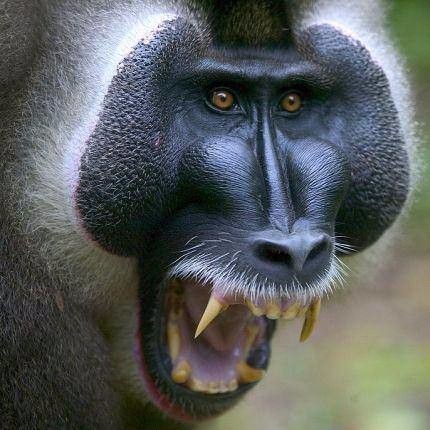 Daha önce duymadığınız şaşırtan gerçekler 14