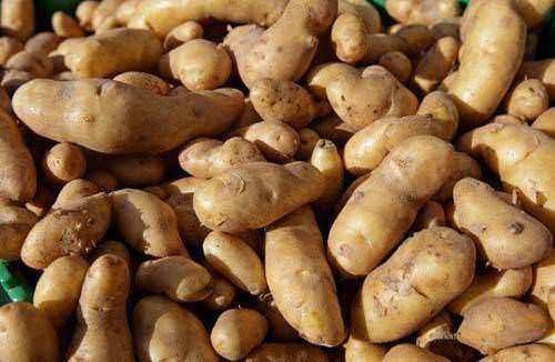 Daha önce duymadığınız şaşırtan gerçekler 16