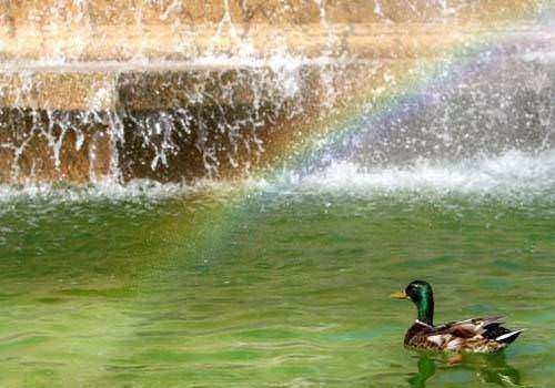 Daha önce duymadığınız şaşırtan gerçekler 43