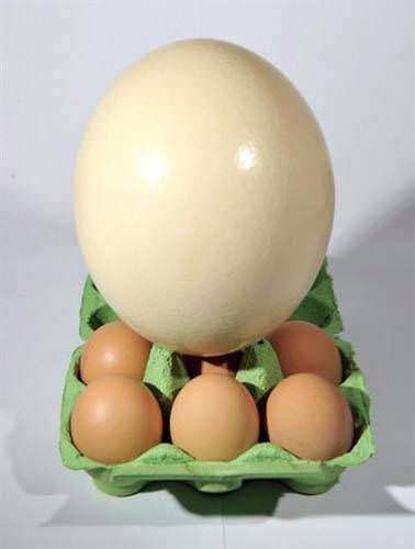 Daha önce duymadığınız şaşırtan gerçekler 44