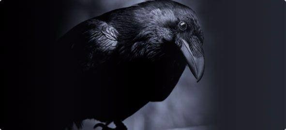 Daha önce duymadığınız şaşırtan gerçekler 45