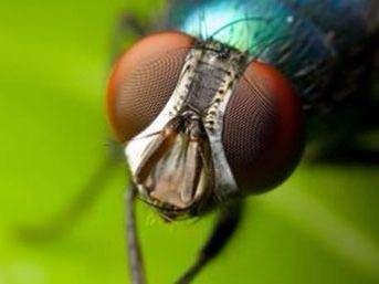 Daha önce duymadığınız şaşırtan gerçekler 47