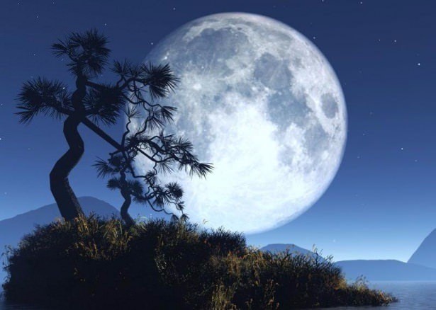 Daha önce duymadığınız şaşırtan gerçekler 5