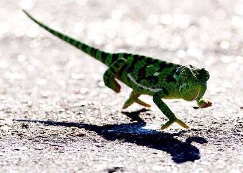 Daha önce duymadığınız şaşırtan gerçekler 6