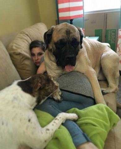 Günün en çok paylaşılan fotoğrafları 21