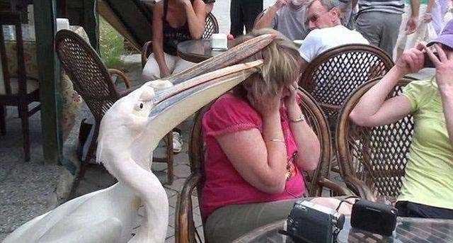 Günün en çok paylaşılan fotoğrafları 3