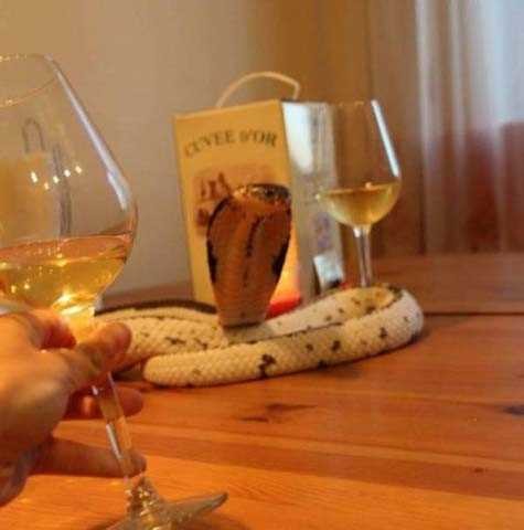 Günün en çok paylaşılan fotoğrafları 34