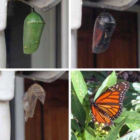 Günün en çok paylaşılan fotoğrafları 37