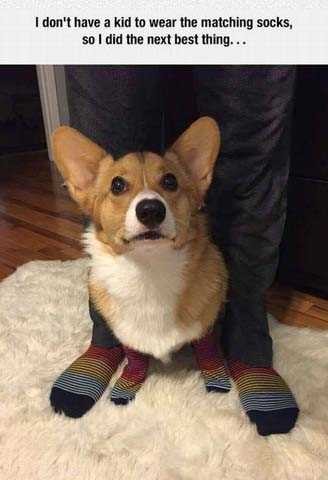 Günün en çok paylaşılan fotoğrafları 53