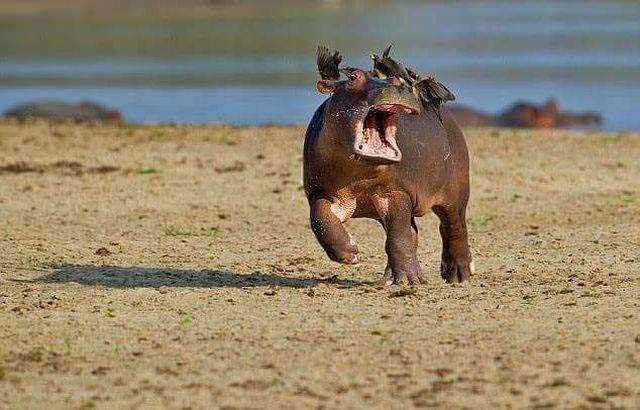 Günün en çok paylaşılan fotoğrafları 54