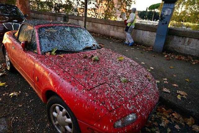 Günün en çok paylaşılan fotoğrafları 6