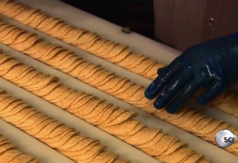 Pringles cipsleri nasıl yapılıyor? 13