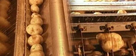 Pringles cipsleri nasıl yapılıyor? 17