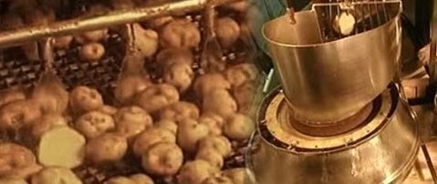 Pringles cipsleri nasıl yapılıyor? 18