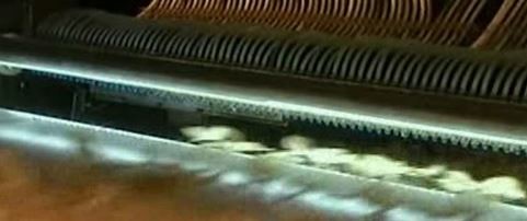 Pringles cipsleri nasıl yapılıyor? 20