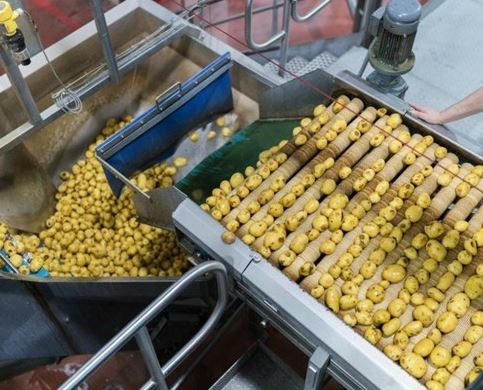 Pringles cipsleri nasıl yapılıyor? 21