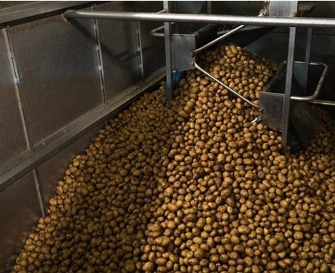 Pringles cipsleri nasıl yapılıyor? 25