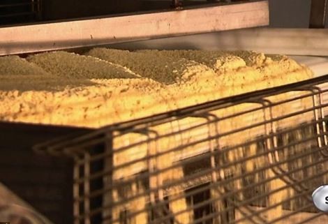 Pringles cipsleri nasıl yapılıyor? 6